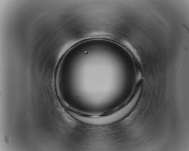 X0000096391336200801311313