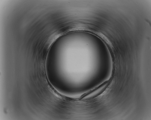 X0000096391337200801311313