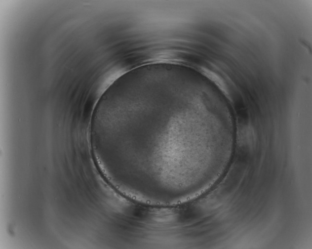X0000096391338200801311313