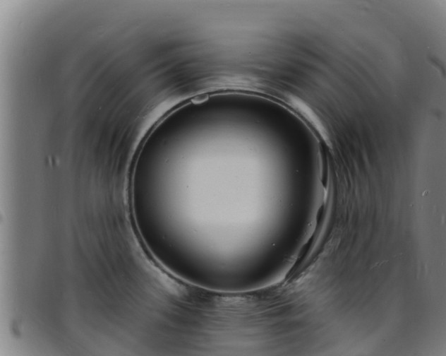 X0000096391339200801311313