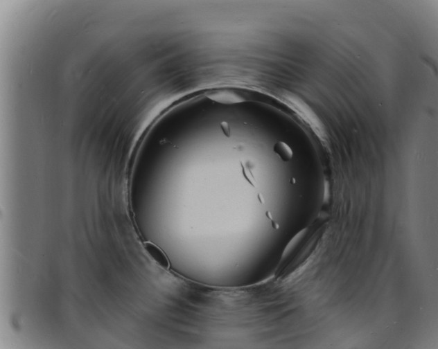X0000096391340200801311313