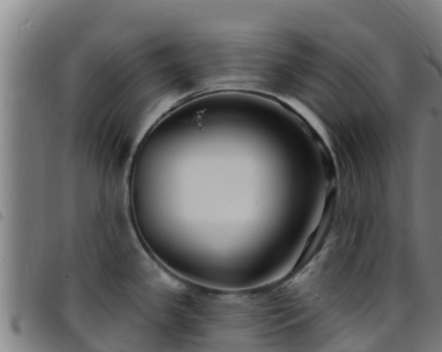 X0000096391341200801311313