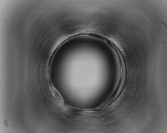 X0000096391342200801311313