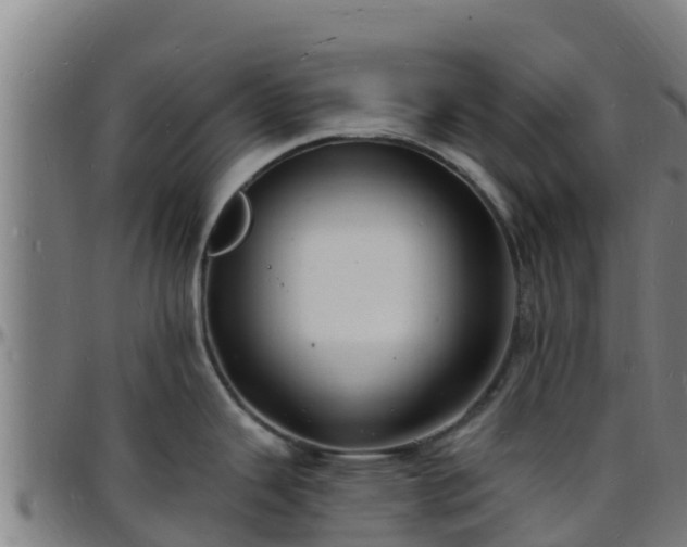 X0000096391343200801311313