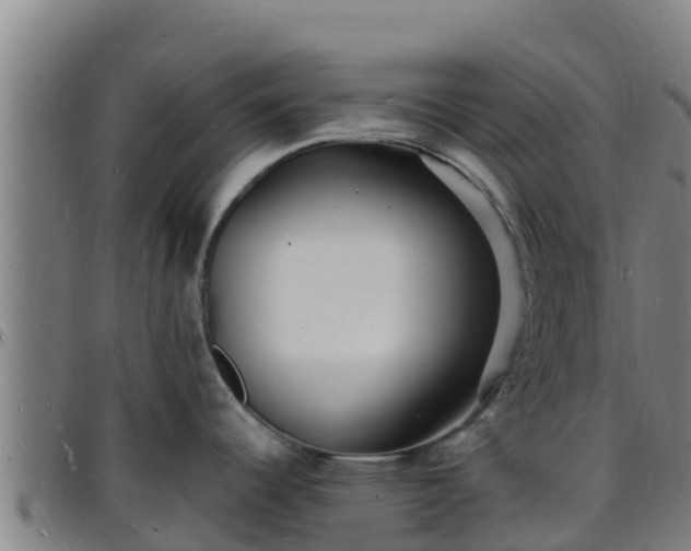 X0000096391344200801311313