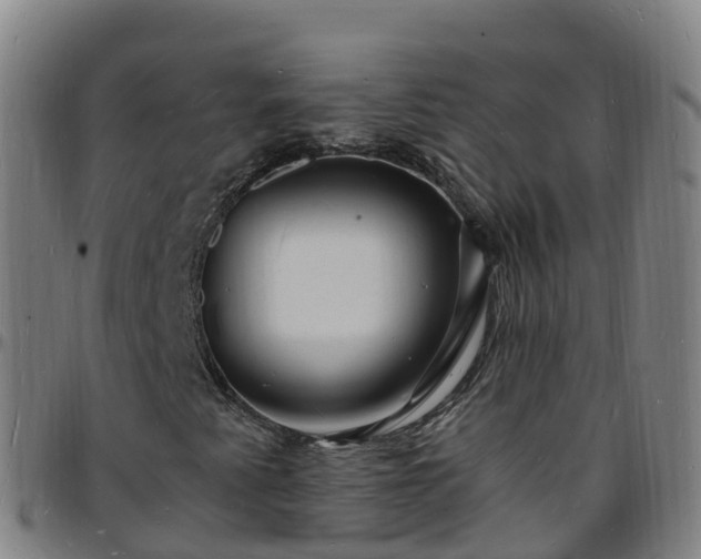 X0000096391345200801311312