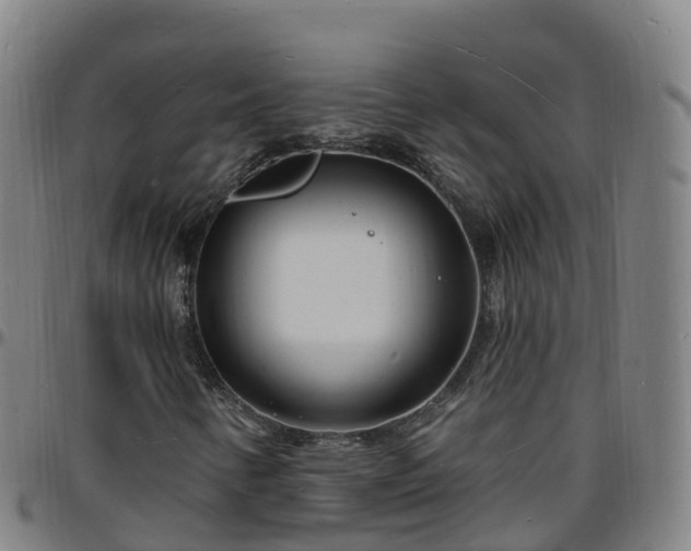 X0000096391346200801311312