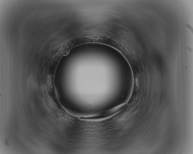 X0000096391347200801311312