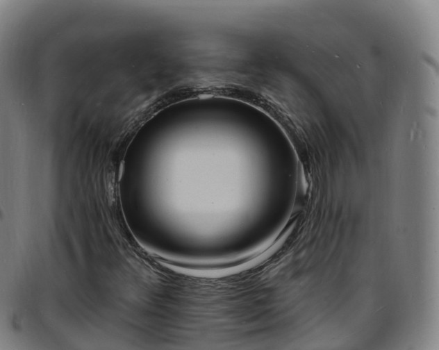 X0000096391348200801311312