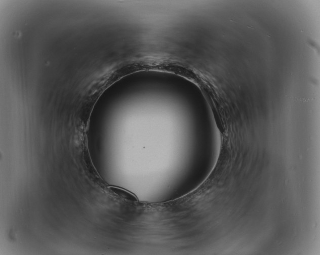 X0000096391349200801311312