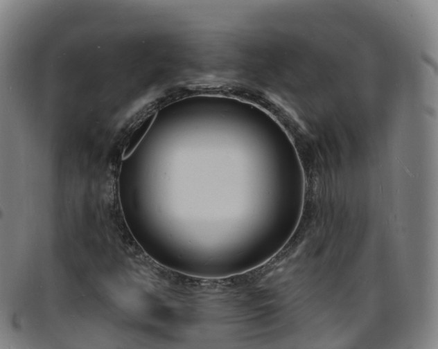 X0000096391350200801311312