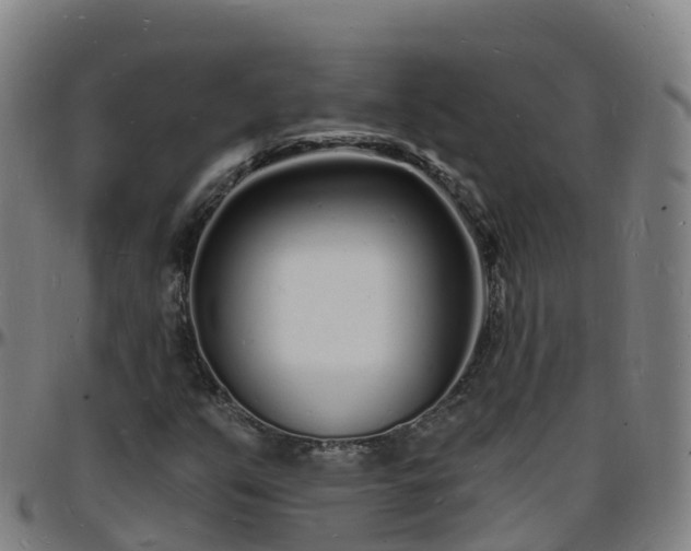 X0000096391351200801311312