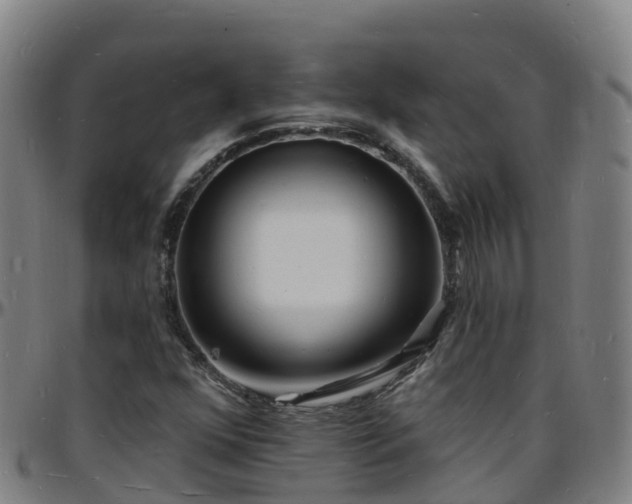 X0000096391352200801311312