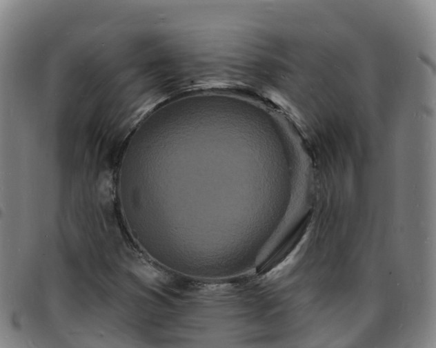 X0000096391353200801311312