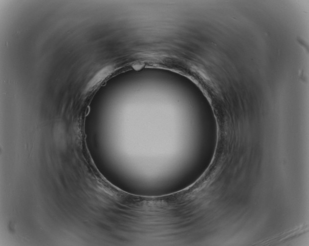 X0000096391354200801311312