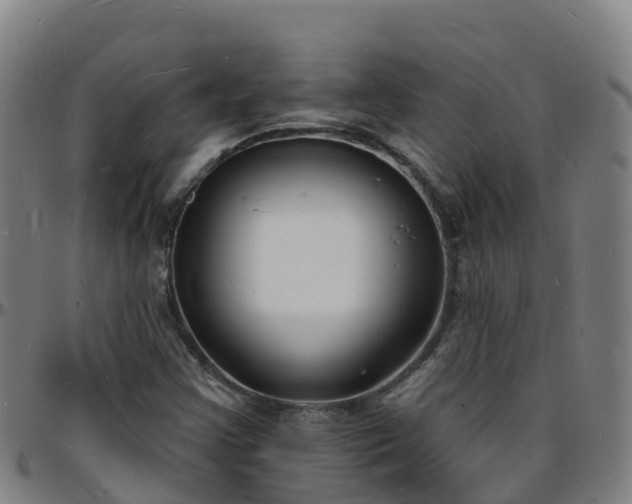 X0000096391355200801311312
