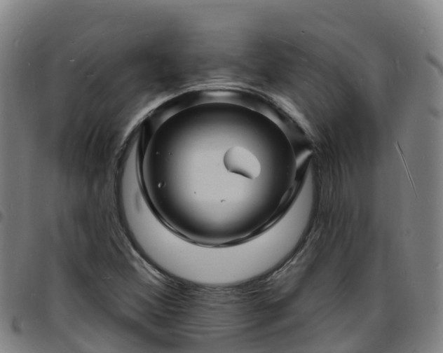 X0000096391356200801311312