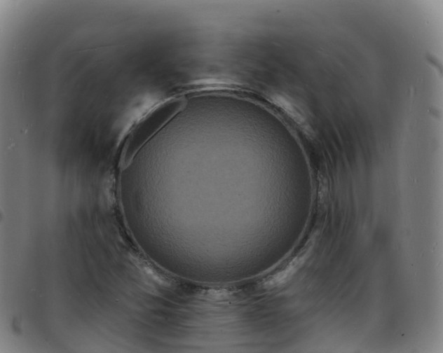 X0000096391357200801311312