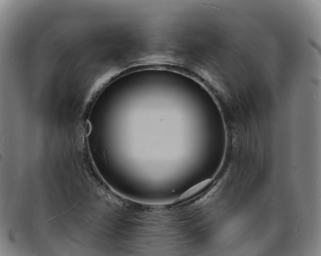 X0000096391358200801311312