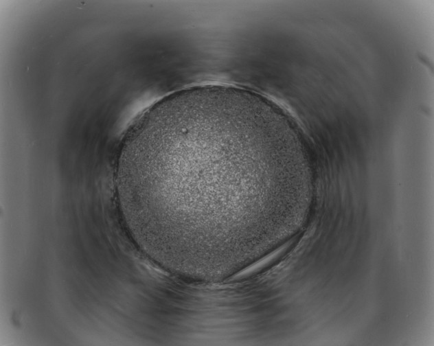 X0000096391359200801311312