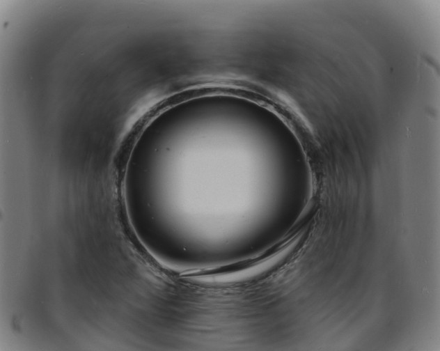 X0000096391360200801311312