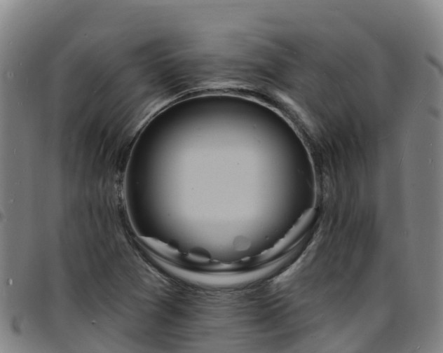 X0000096391361200801311312