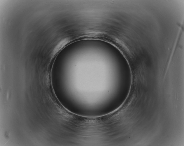 X0000096391362200801311312