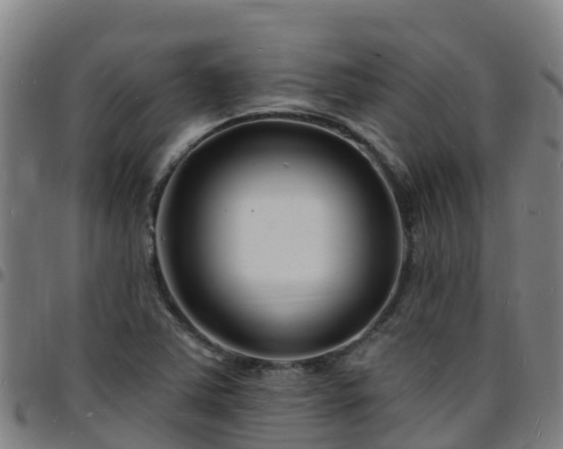 X0000096391363200801311312