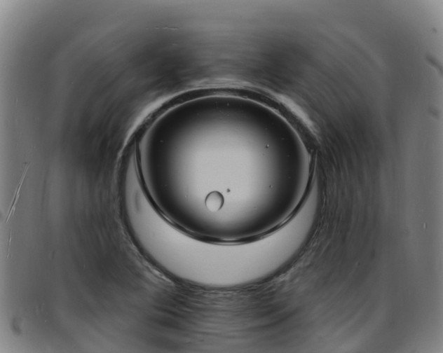 X0000096391364200801311312