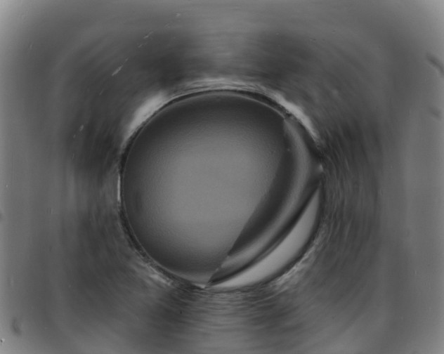 X0000096391365200801311312