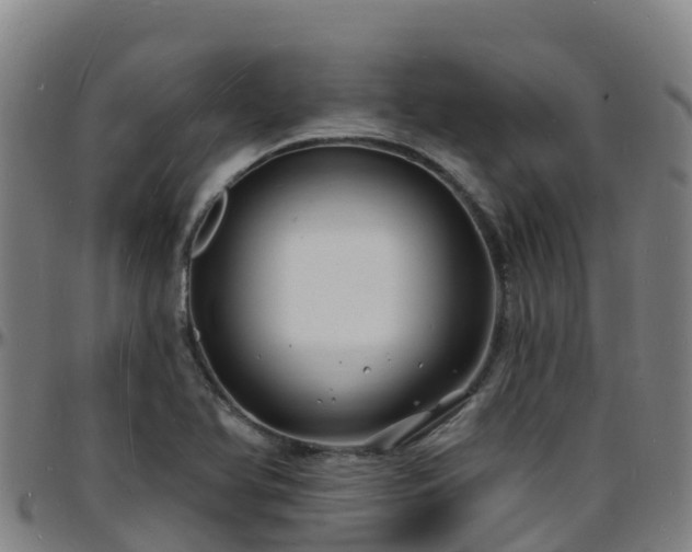 X0000096391366200801311312