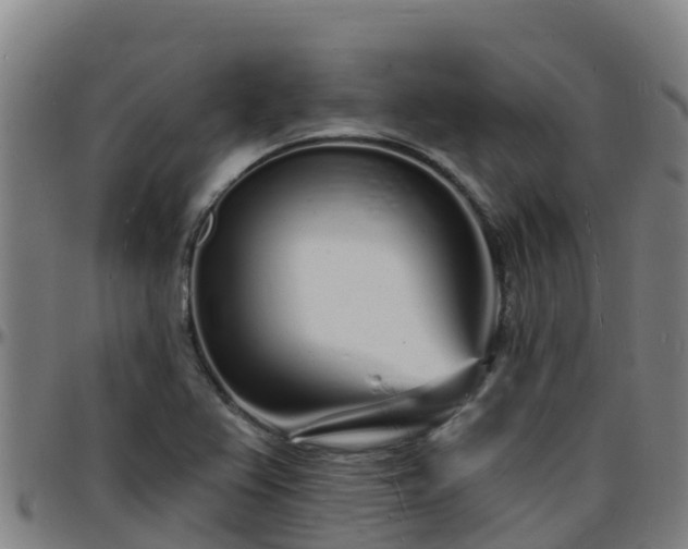 X0000096391367200801311312