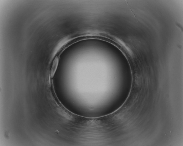 X0000096391368200801311312