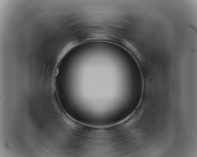 X0000096391370200801311312