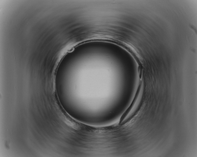 X0000096391371200801311312