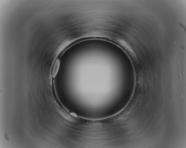 X0000096391372200801311312