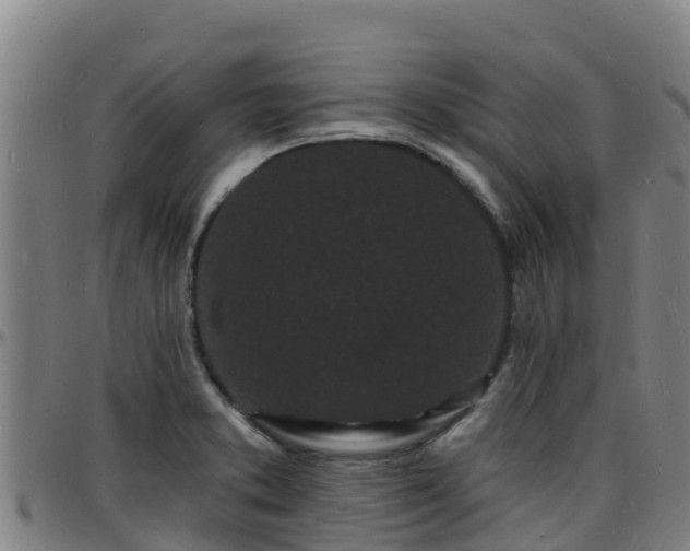 X0000096391373200801311312