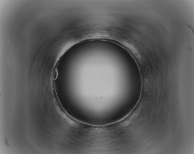 X0000096391374200801311312