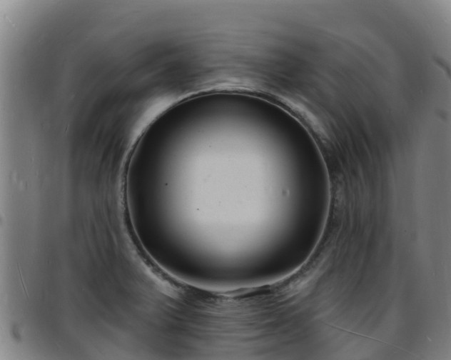 X0000096391375200801311312