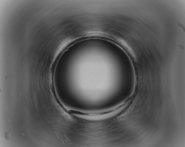X0000096391376200801311312