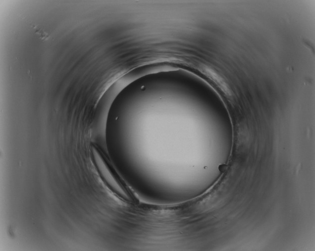 X0000096391377200801311312