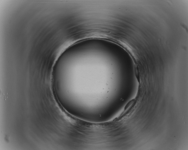X0000096391379200801311312