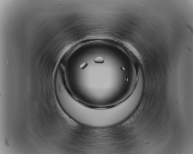 X0000096391380200801311312