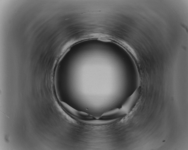 X0000096391381200801311312