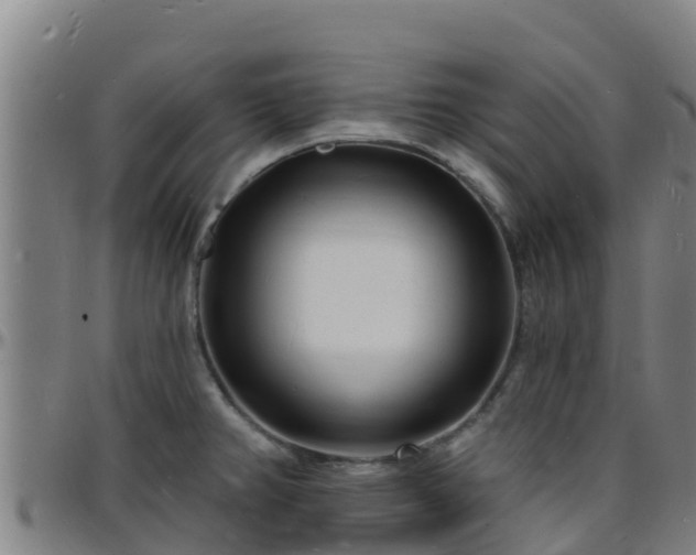 X0000096391382200801311312