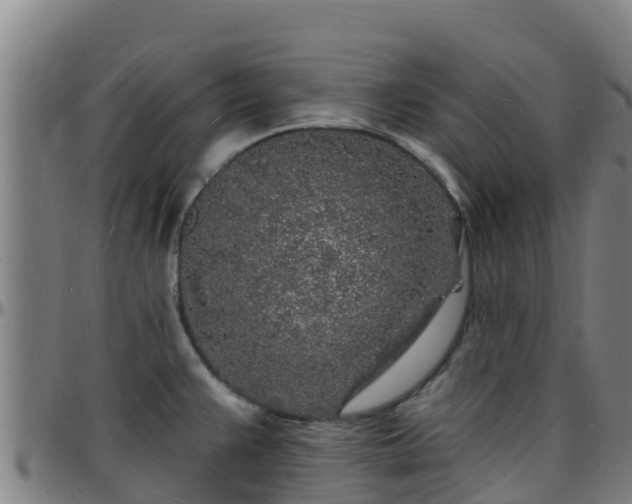 X0000096391383200801311312