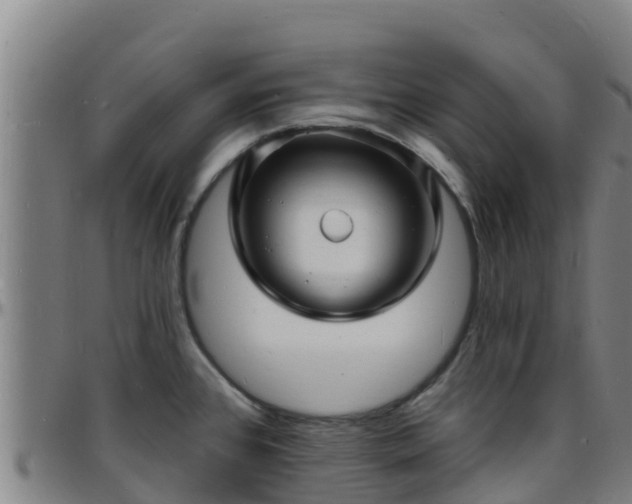 X0000096391384200801311312