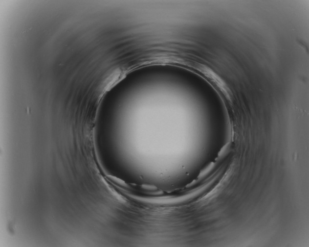 X0000096391385200801311312
