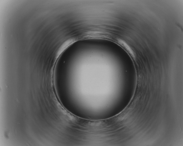 X0000096391386200801311312