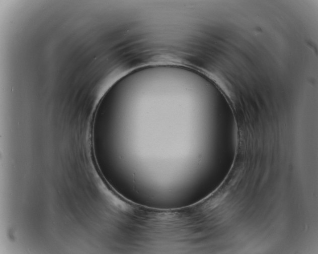 X0000096391387200801311312